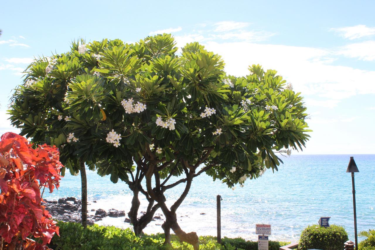 Kuleana Resort 618 Lahaina Ngoại thất bức ảnh